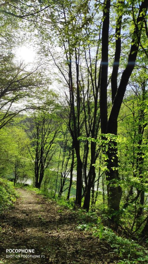 Smaragd River Near Rastoke & Plitvice Lakes Slunj Exterior photo